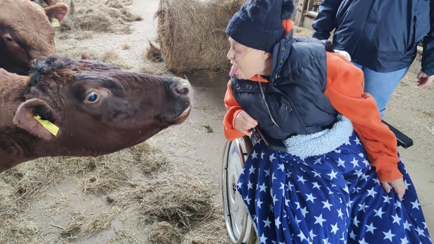 Wunschfahrt zum Erlebnisbauernhof